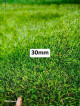 Artificial Grass Carpet