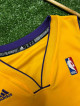 Adidas Steve Nash #10 Los Angeles Lakers Jersey🔥