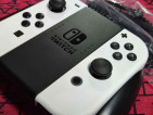 Nintendo Switch Joycons (from white OLED)