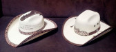 COWBOY/WESTERN HAT FOR SALE