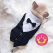 Pet Clothes For Dog's and Cat's