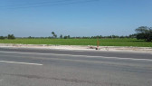 28500sqm lot along Roman Highway Pilar Bataan