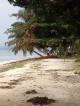 Beach Front Lot - Dapa, Surigao del Norte