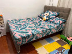 SALEM Double Bed Pullout | Moving Out Sale