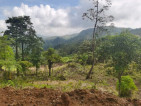 Farm lot for sale 1,000 sqm per cut for only 350k