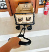 Foldable Khaki Wagon Trolley