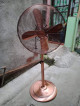 Electric fan