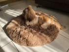 BEST SOFT & Plush Dog Bed REDUCE STRESS Calming Pet Bed Fluffy Comfortable for D