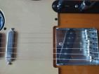 Fender Telecaster Std