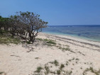 Beachfront for sale in patar Bolinao Pangasinan