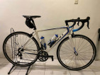 Giant TCR SL