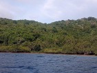 Island property for sale