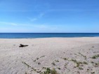 Beach Lot - Iba, Zambales