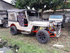 Owner type jeep