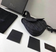 Dior Canvas saddle bag