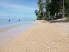Beach lot for sale - Palawan, Quezon, Palawan