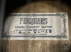 Fernandes Concert Guitar