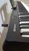 Roland FP-10 for Sale