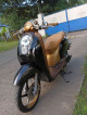 HONDA SCOOPY 110cc