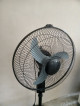 Stand Fan (Dowell)