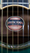 Yamaha APX 700