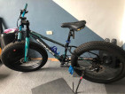 FAT BIKE charles spanker