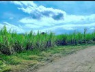 Lot - Tuy, Batangas