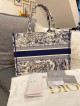 Dior Book Tote Small in Blue Toile de Jouy