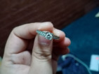 14k White Gold Engagement Ring