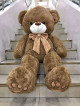 Life Sized Teddy Bear