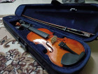 violin