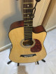 Kessler Guitar Jr Size 38 with case