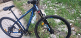 Tossek spear 29er