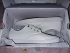 Fila Limited Edition White Sneaker Brand New