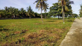 172 sqm Whitesand Beach available for Sale