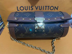 Louis Vuitton Papillon Trunk Monogram Canvas