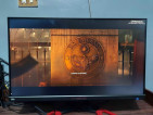 Acer Predator Gaming Monitor