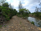 1.3M for 6 hectares Farm Lot with a River