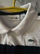 Lacoste Polo Shirt