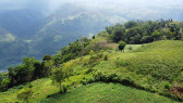 TOURIST FARM LOT IN CLAVERIA