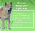 Pure Moringa Powder for Pets 100g