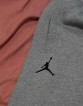 Nike Air Jordan Sport DNA fleece jogger pants