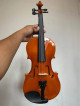 Violin 4/4 Size