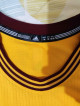 Jersey cavs 23 LeBron