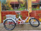 Three wheel bike (Tri-Bike)