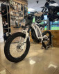 Surron Ebike