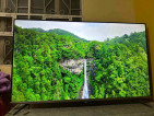 Edgeless TCL P715 Series 55inches 4K
