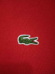 Lacoste Polo Shirt