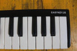 Worlde EasyKey.25 Midi Keyboard