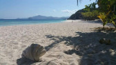 Private Island for sale in Coron Palawan, Philippines !